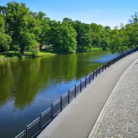 Kandela Studio 아파트 *